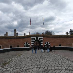 IMG_20250409_145455_676_original