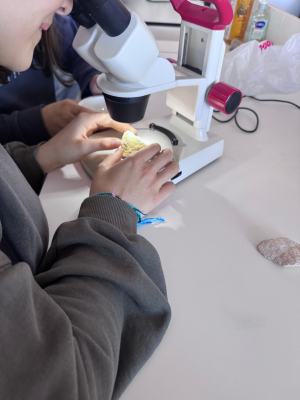 Design_sans_titre_5_original