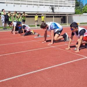 1000050486_-_Copie_original