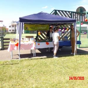 Photo_oparvi_8_resultat_original