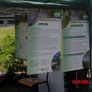 Photo_valfor_17_resultat_original