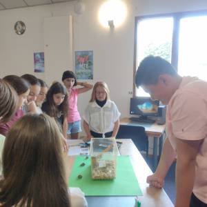 IMG_20250610_111043_original