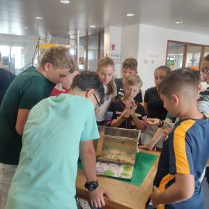 IMG_20250610_111329_original