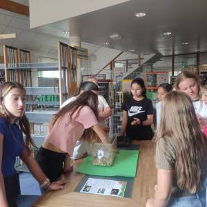 IMG_20250610_161122_original