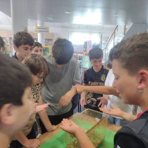 IMG_20250610_170527_original