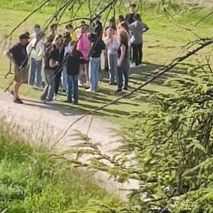 2686767905159237013_original