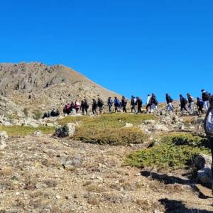 IMG-20251003-WA0008_original