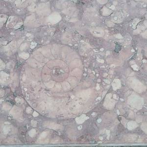 WhatsApp_Image_2025-10-03_a_17.17.18_a6b269c3_original