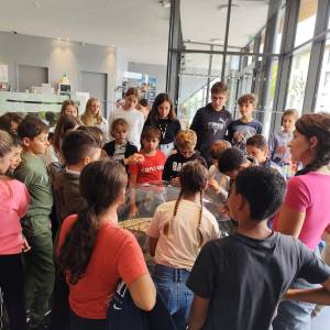 5518e358-eda0-472c-aa3c-1b8766f50ea41_original