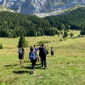 IMG-20250927-WA0017_original