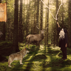 C65FBF83-A404-488E-A9CF-CC80C6C7A7CE-L0-001_original