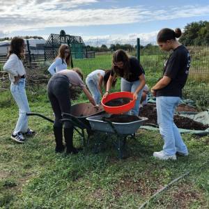 IMG-20251106-WA0005_original