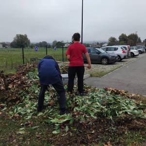 IMG-20251106-WA0006_original