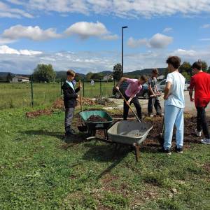 IMG-20251106-WA0007_original