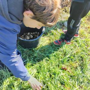 IMG-20251106-WA0011_original