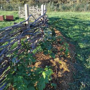 WhatsApp_Image_2025-11-05_a_11.16.23_66944e24_original