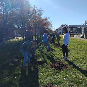 IMG-20251113-WA0043_original