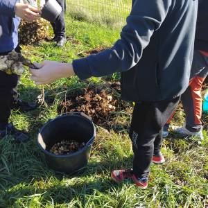 IMG-20251113-WA0047_original