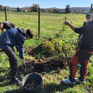 IMG-20251113-WA0048_original