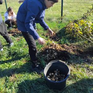 IMG-20251113-WA0049_original