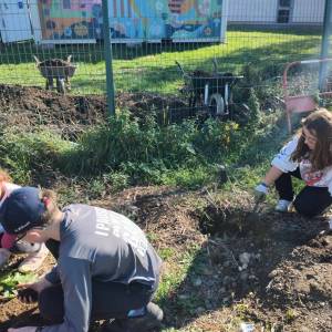 IMG-20251113-WA0050_original