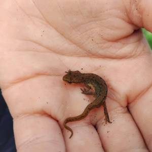 IMG-20251113-WA0052_original