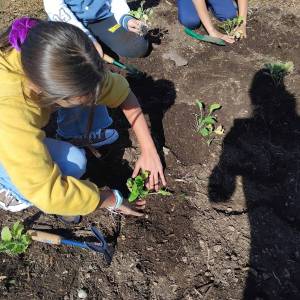 IMG-20251113-WA0053_original