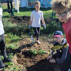 IMG-20251113-WA0054_original