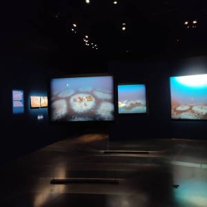 IMG-20251121-WA0001_original