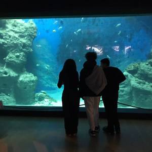 IMG-20251121-WA0003_original