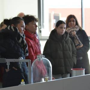 IMG-20251202-WA0020_original