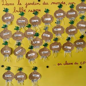 IMG-20251202-WA0046_original