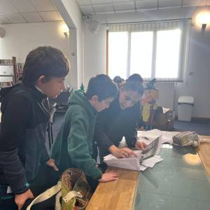 WhatsApp_Image_2025-12-10_at_09.56.13_2_original