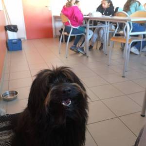 IMG-20251205-WA0027_original