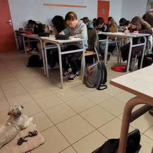 WhatsApp_Image_2025-12-05_a_07.39.32_55e4e0d5_original