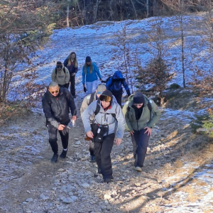 Capture_decran_2026-01-12_164925_original