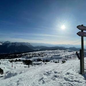 7462a444-04d1-4641-92f0-d07d0381885b_original