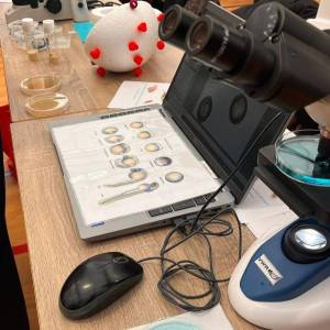 WhatsApp_Image_2026-02-02_at_08.48.31_original