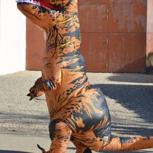 WhatsApp_Image_2026-03-12_at_23.07.53_6_-_Copie_original