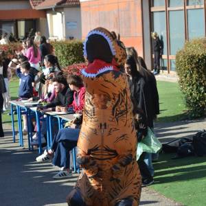 WhatsApp_Image_2026-03-12_at_23.08.00_8_original