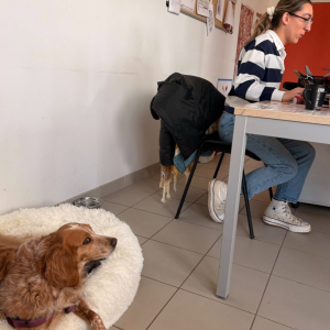 Capture_decran_2026-03-30_164041_original