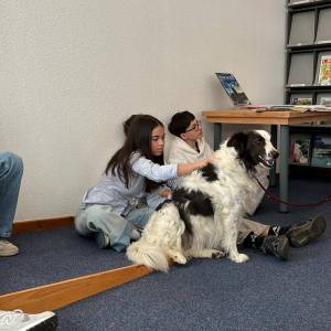 WhatsApp_Image_2026-03-18_at_11.13.39_original