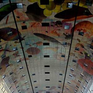 WhatsApp_Image_2026-03-30_at_23.14.24_original