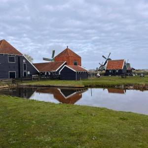 WhatsApp_Image_2026-03-31_at_17.19.25_1_original