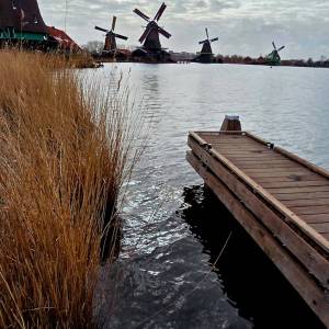 WhatsApp_Image_2026-03-31_at_17.19.26_2_original