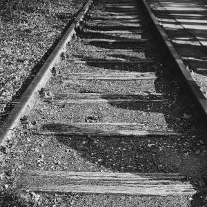 WhatsApp_Image_2026-03-31_at_17.19.27_original