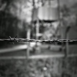 WhatsApp_Image_2026-03-31_at_17.19.28_1_original