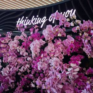 WhatsApp_Image_2026-04-02_at_00.15.29_1_original