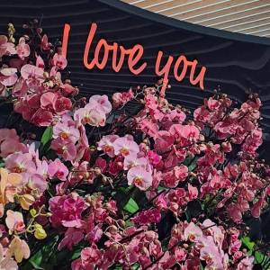 WhatsApp_Image_2026-04-02_at_00.15.29_2_original