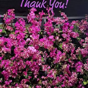 WhatsApp_Image_2026-04-02_at_00.15.29_3_original